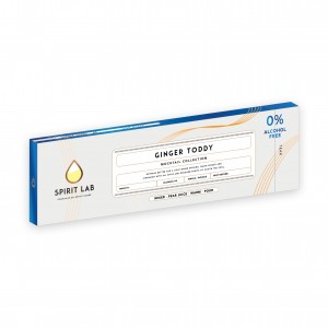 Ginger Toddy Mocktail