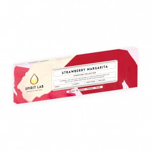 Strawberry Margarita Cocktail